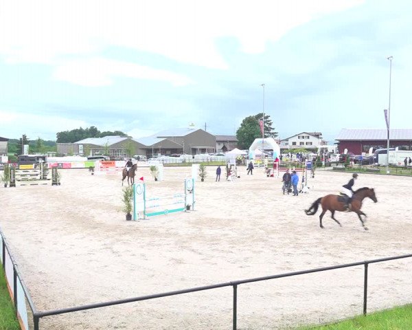Reitturnier Gossau 2020