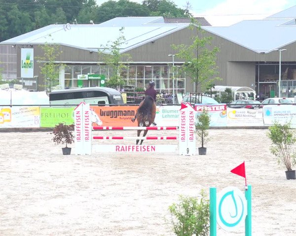 Reitturnier Gossau 2020