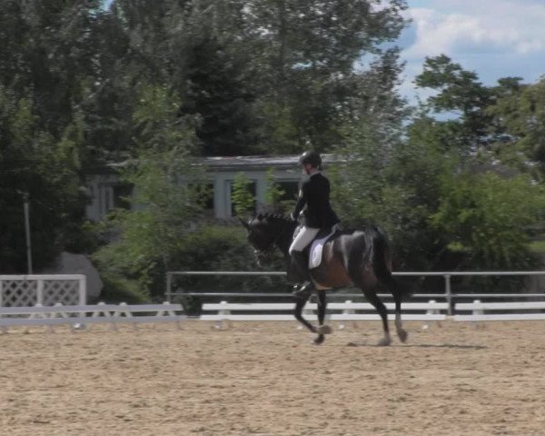 Reitturnier Pietzpuhl 2020