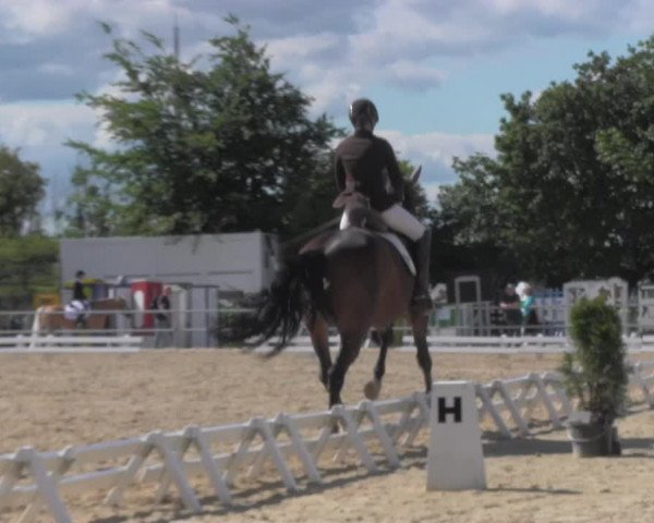 Reitturnier Pietzpuhl 2020