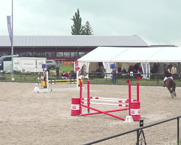 Reitturnier Gossau 2020