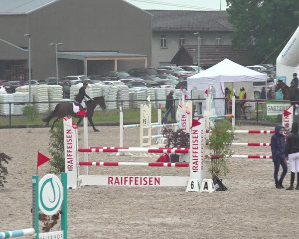 Reitturnier Gossau 2020