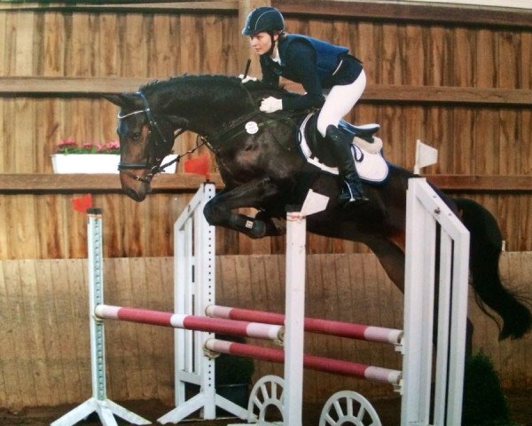 jumper Grithem (Hanoverian, 2010, from Glueckspilz)