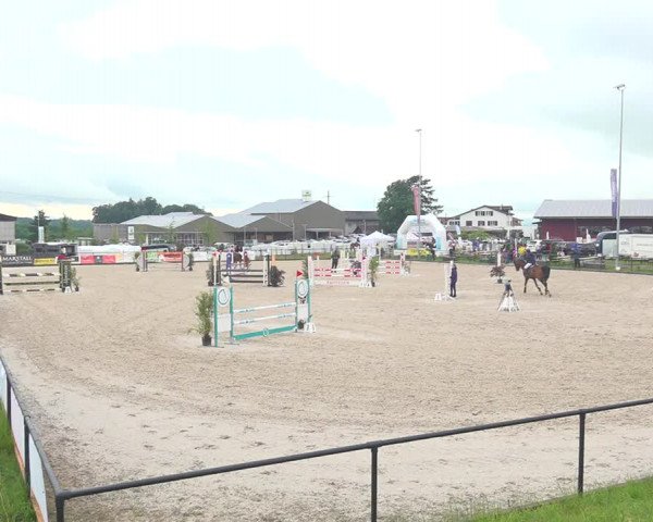 Reitturnier Gossau 2020