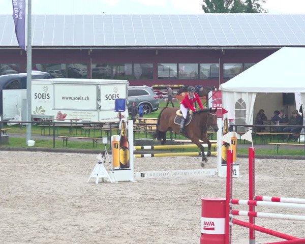 Reitturnier Gossau 2020