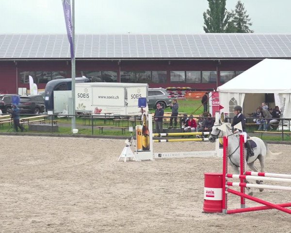 Reitturnier Gossau 2020