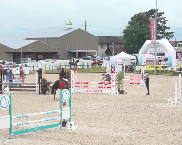 Reitturnier Gossau 2020