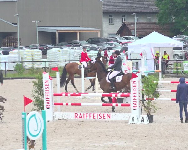 Reitturnier Gossau 2020