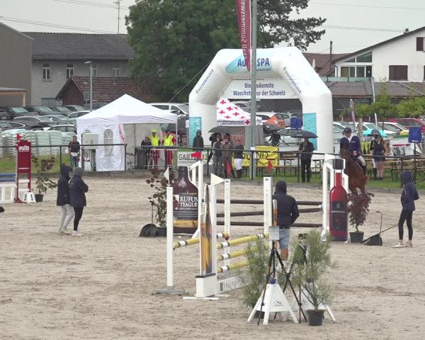 Reitturnier Gossau 2020