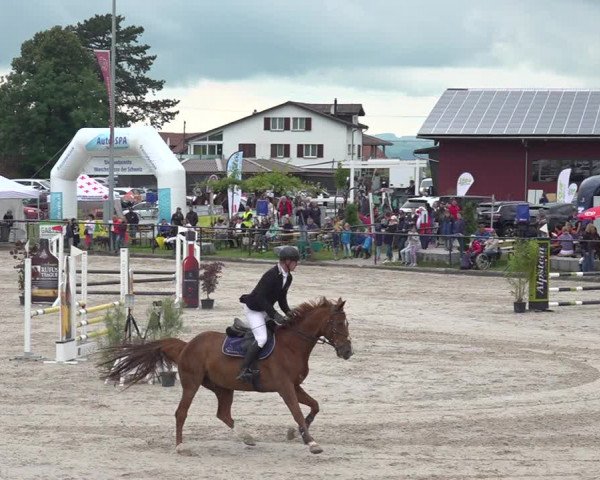 Reitturnier Gossau 2020