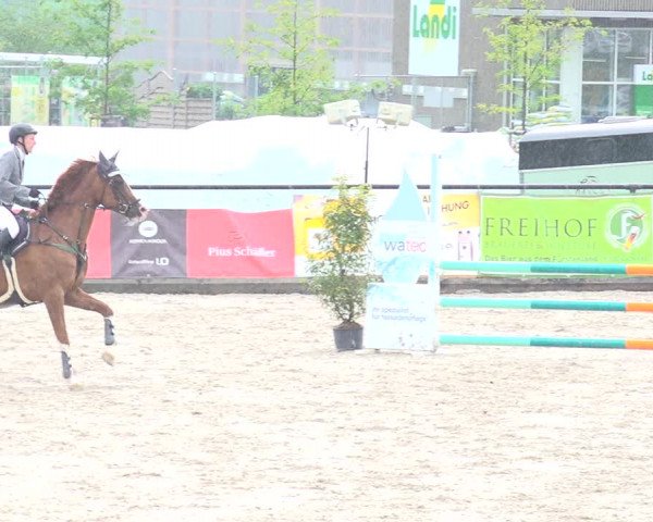 Reitturnier Gossau 2020