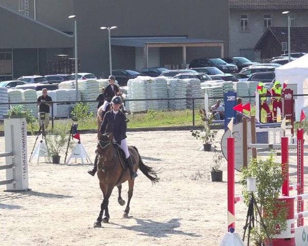 Reitturnier Gossau 2020