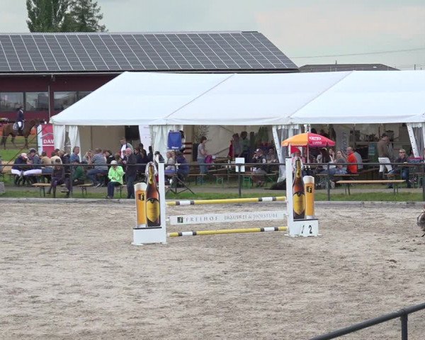 Reitturnier Gossau 2020