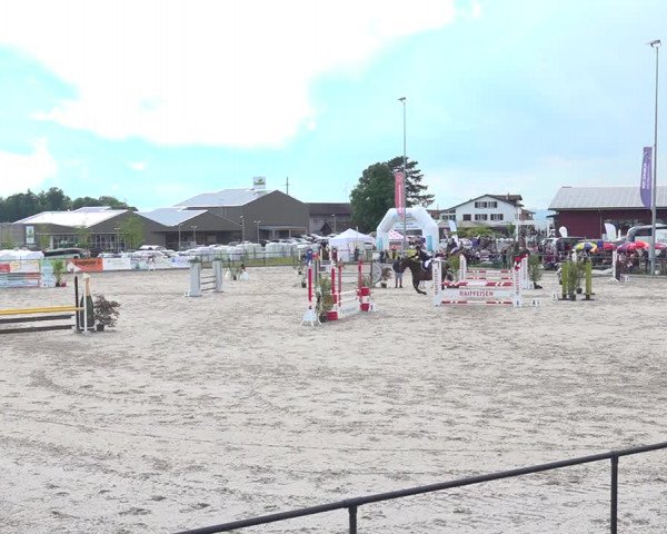 Reitturnier Gossau 2020