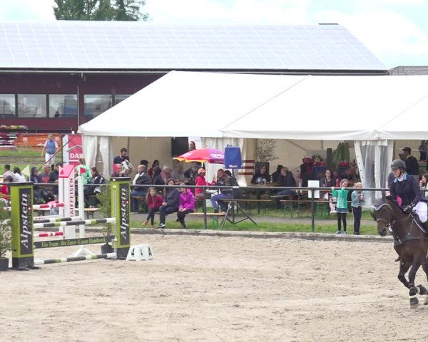 Reitturnier Gossau 2020