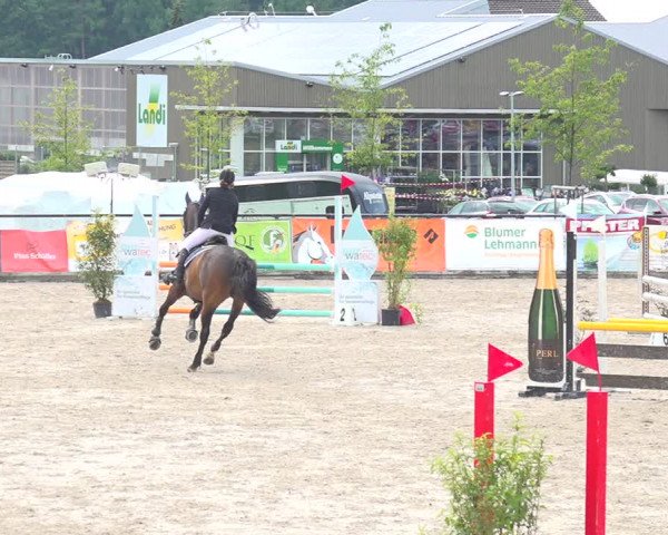 Reitturnier Gossau 2020