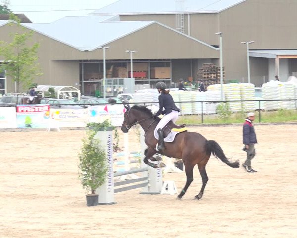 Reitturnier Gossau 2020