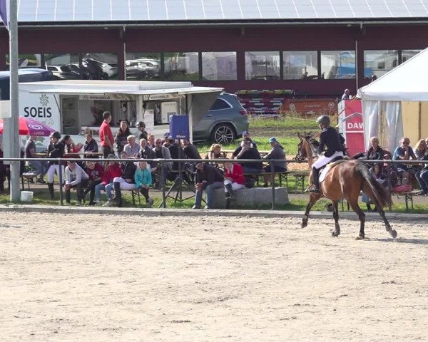 Reitturnier Gossau 2020