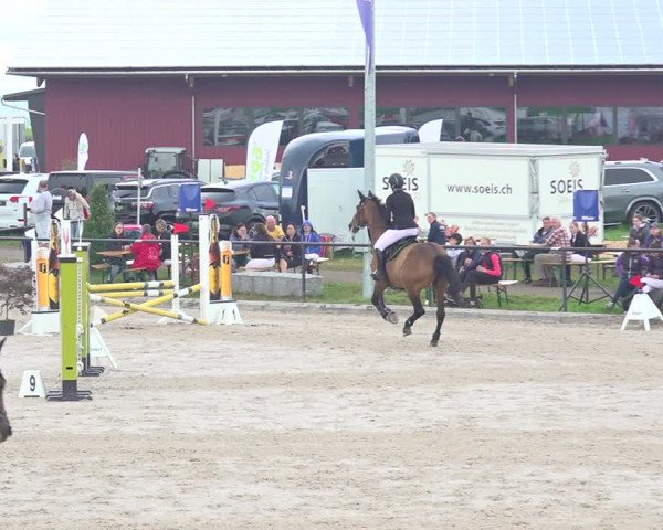 Reitturnier Gossau 2020