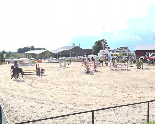 Reitturnier Gossau 2020