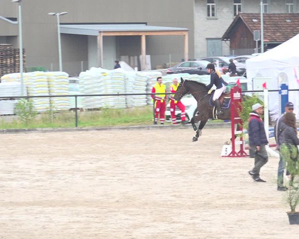 Reitturnier Gossau 2020