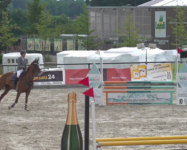 Reitturnier Gossau 2020