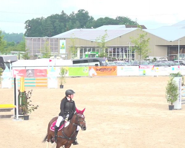 Reitturnier Gossau 2020