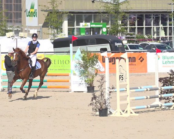 Reitturnier Gossau 2020