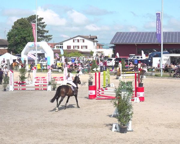 Reitturnier Gossau 2020