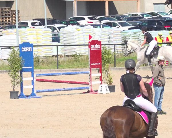 Reitturnier Gossau 2020