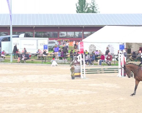 Reitturnier Gossau 2020
