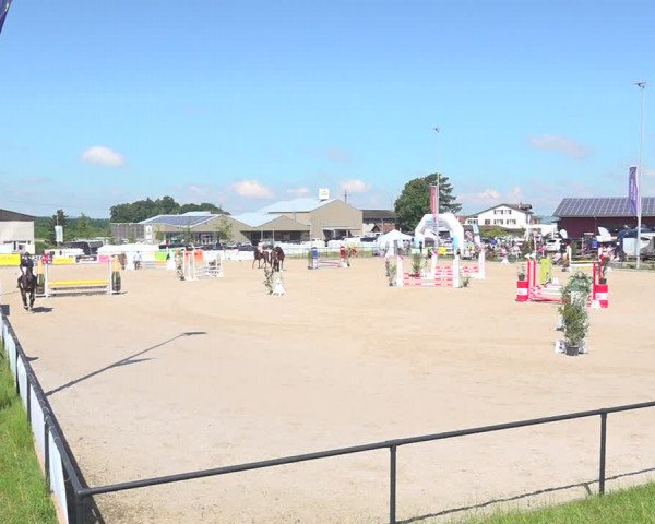 Reitturnier Gossau 2020