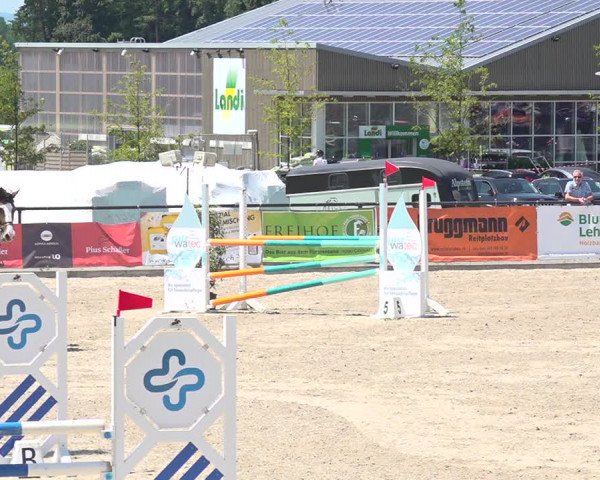 Reitturnier Gossau 2020