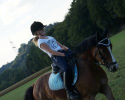 jumper Manitou-F (Austrian Reitpony, 2003, from Mon Cheri)
