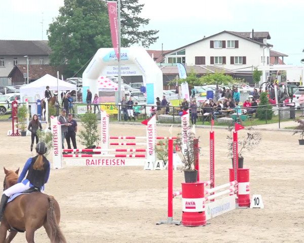 Reitturnier Gossau 2020