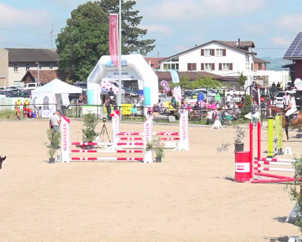 Reitturnier Gossau 2020