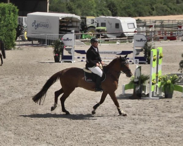 Reitturnier Worms-Pfeddersheim / Reitsportanlage Wittemer 2020