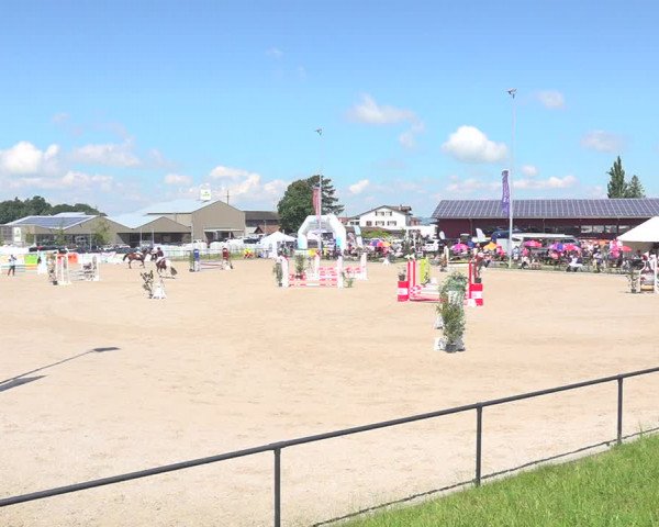 Reitturnier Gossau 2020