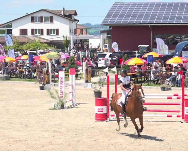 Reitturnier Gossau 2020