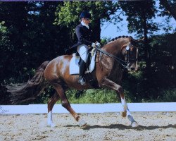 broodmare Dooleys P (Hanoverian, 2002, from Donnerschwee)