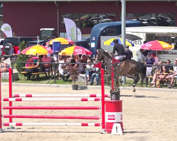 Reitturnier Gossau 2020