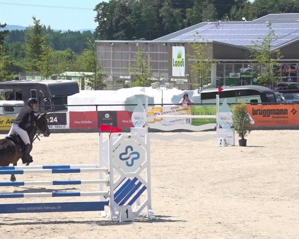Reitturnier Gossau 2020