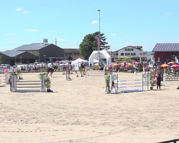 Reitturnier Gossau 2020