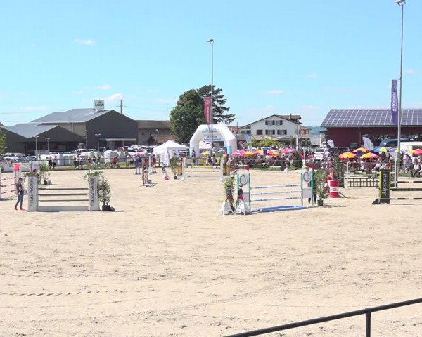 Reitturnier Gossau 2020