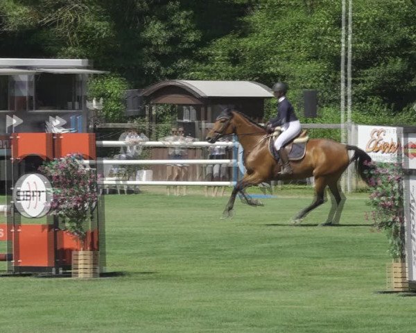Reitturnier Kappelen-Lyss 2020