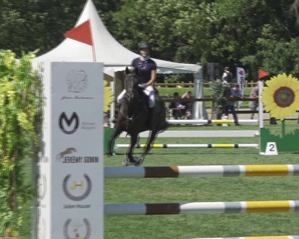 Reitturnier Kappelen-Lyss 2020