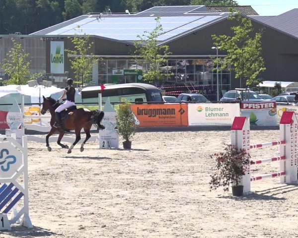 Reitturnier Gossau 2020
