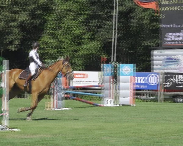 Reitturnier Kappelen-Lyss 2020