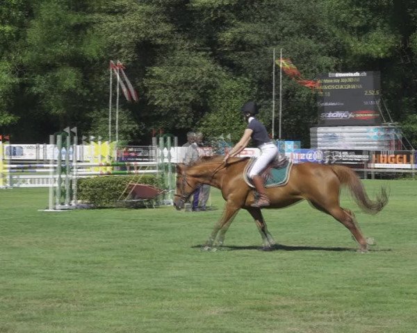 Reitturnier Kappelen-Lyss 2020