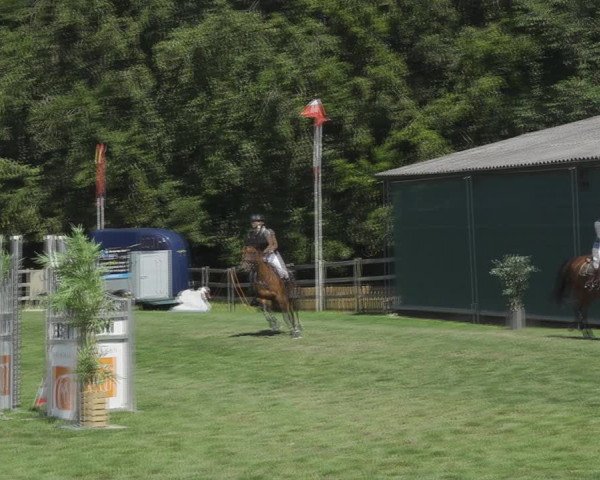 Reitturnier Kappelen-Lyss 2020